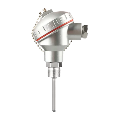 Wzp-pt100 Thermische Weerstandssonde Geïntegreerde Temperatuurzender 4-20ma Hoge Temperatuur Pt100 Temperatuursensor