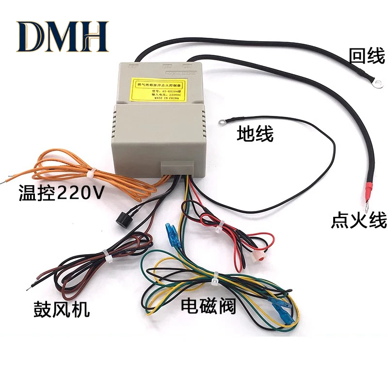 

Универсальный импульсный воспламенитель Dmh 220 В для коммерческих газовых печей AIMS AS-KX204, 1 шт.