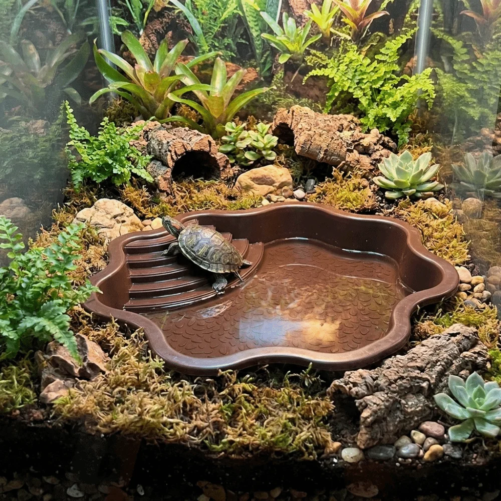 Anti-Slip Tortoise Water Dish - огляд і ціна Water Dish Reptile