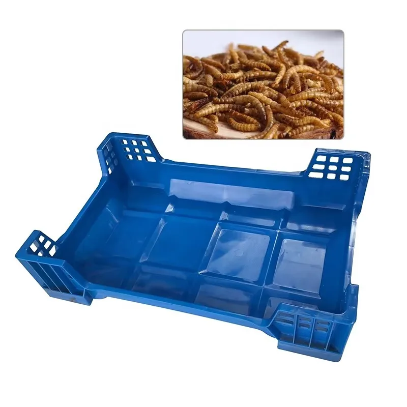 Customized Size Pp Stackable Plastic Box Four Corners Insect Breeding Box Stackable Bin Plastic Tray Mealworm Breeding Tray