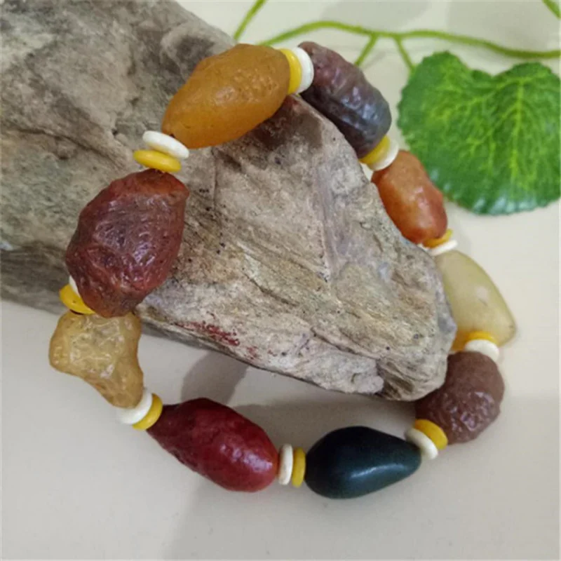 Xinjiang Alashan Gobi Raisin Agate with Shape Tendon Stone Bracelet