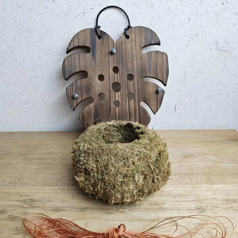 حامل زرع خشبي معلق مصنوع يدويًا من أجل سرخس الستاغورن وتسلق الكرمة المزخرف على الحائط يتضمن خطافًا معدنيًا متينًا