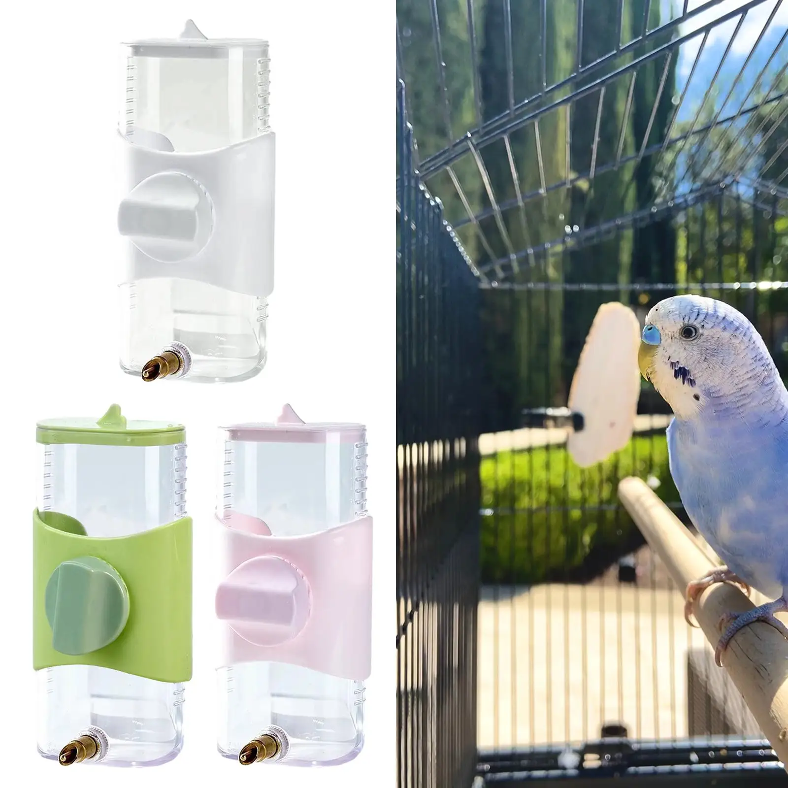 Bird Drinker Parrot Waterer Practical Convenient Heavy Duty Storage Drinking Bottle Birds Water Feeder for Lovebirds Budgie