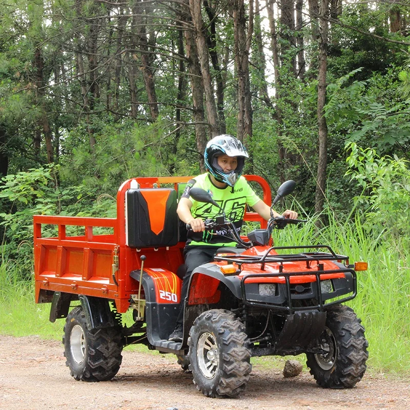 

Updated Version250cc Cheap Commercial Displacement Cargo ATV 4x4 Adult Farm Motorcycle Trucks Atv Trailer