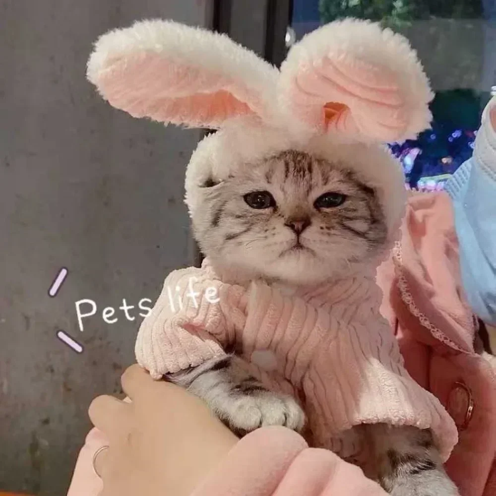 Winter Rabbit Ear Teddy Bear Dog Cat Clothes Warm Comfortable Elastic Cute Pet Coat Clothing for Small Dogs