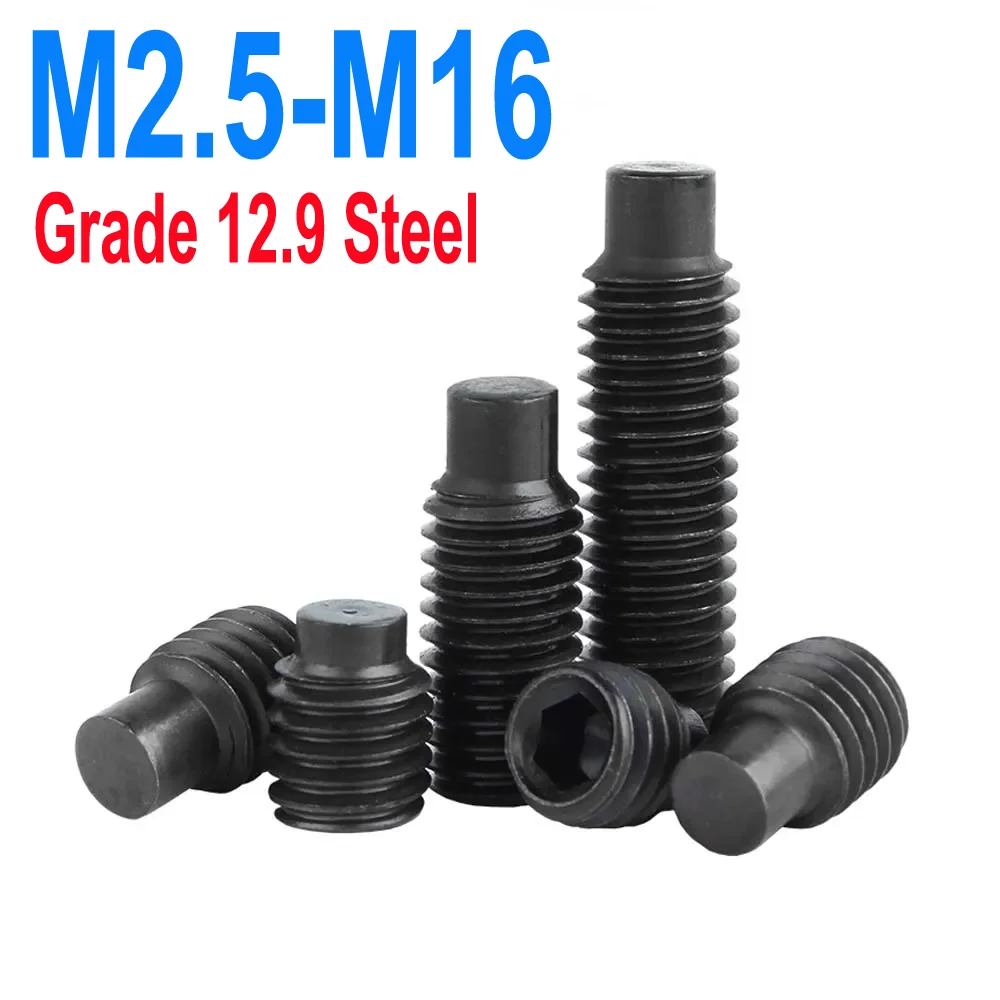 

M2.5 M3 M4 M5 M6 M8 M10 M12 M14 M16 12.9 Grade Steel Black Hexagon Socket Set Screw DIN915 Dog Point Grub Convex Headless Bolt