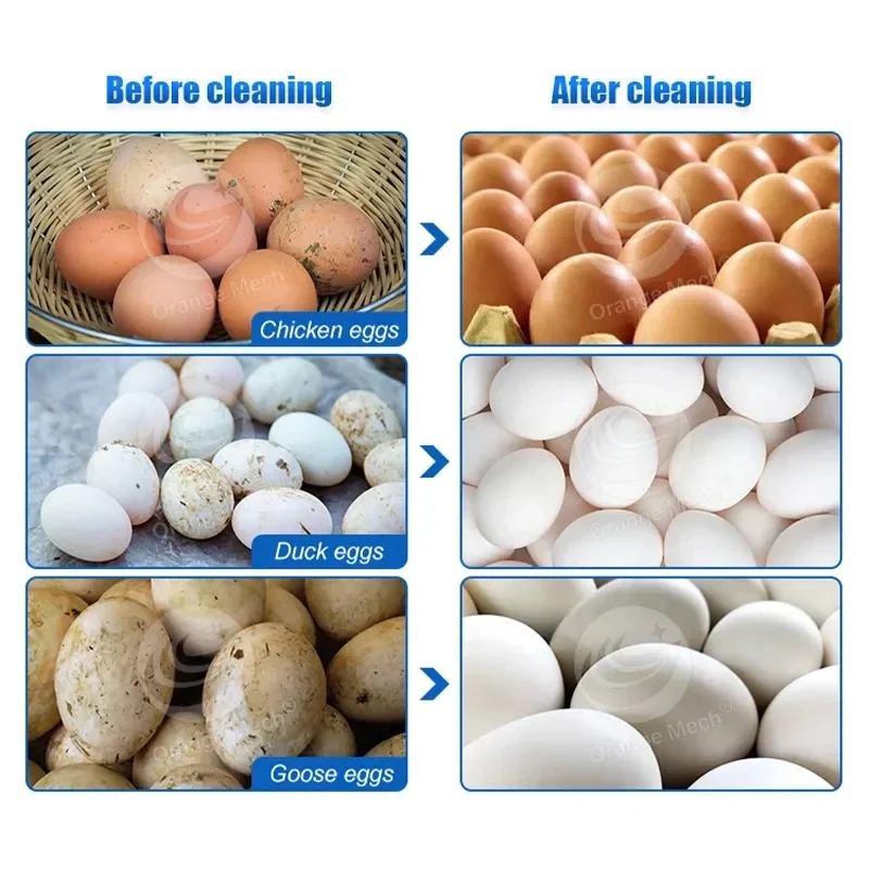 3 rows.15000pcs/Commercial Brush Eggs Washing And Drying Machine Automatic Egg Washer Cleaner /Continuous egg washing machine