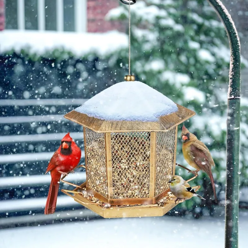 Wild Bird Ornament Outdoor Pavilion Anti-squirrel Garden Terrace Hanging Installation Metal Vintage Rust Resistant