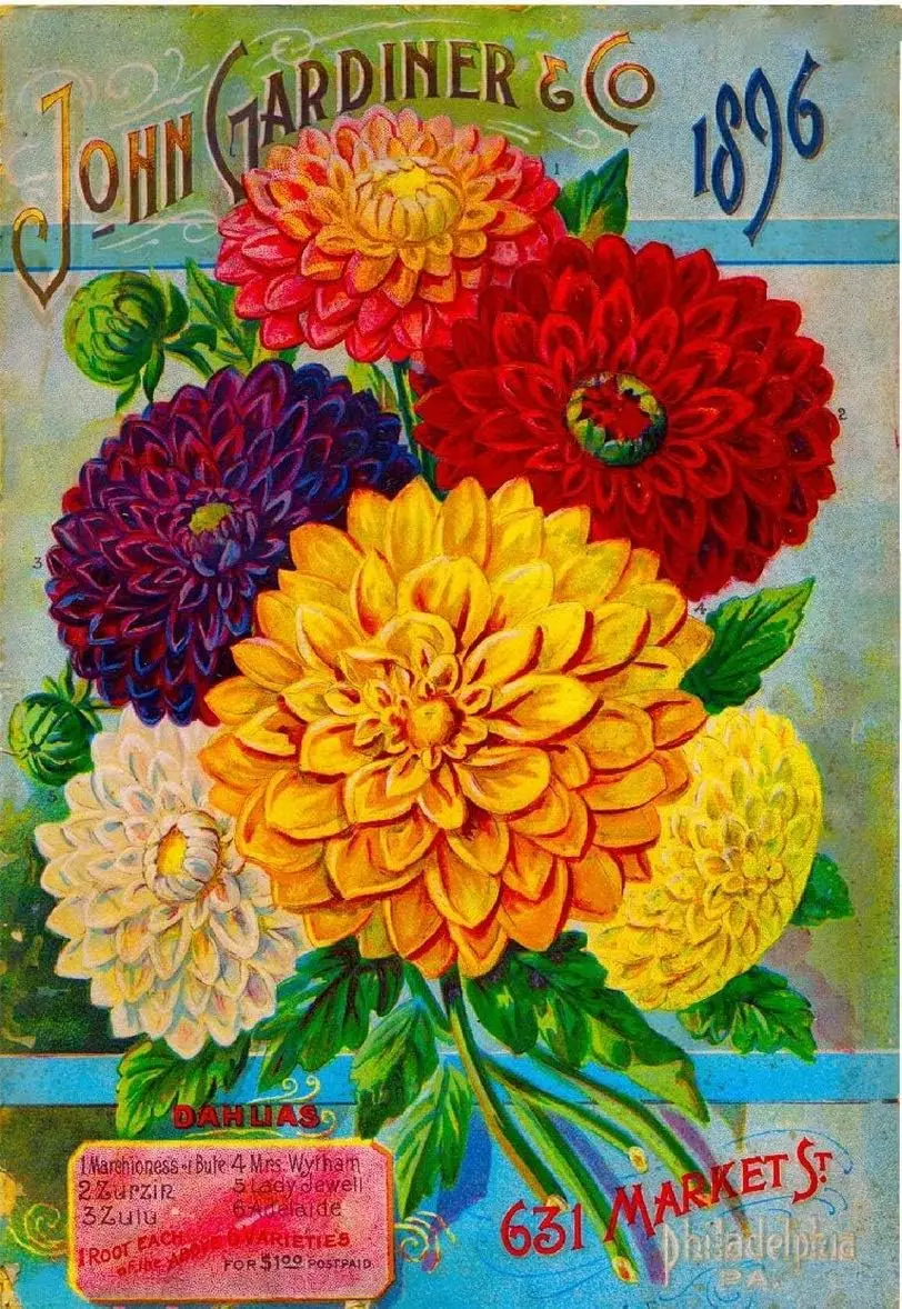 Muroanmi TYmall-señal colgante de Metal para pared, arte de la pared, John Gardiner Dahlias, paquete de semillas de flores Vintage, placa decorativa publicitaria, estaño, 1896