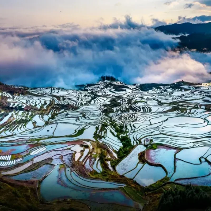 

JX Servo PDI-HV2010MG Digital Mini Servo-11KG Torque,Metal Gear, Full CNC Aluminum, Coreless, HV, for RC Cars, Robotics & Models