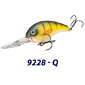 Q