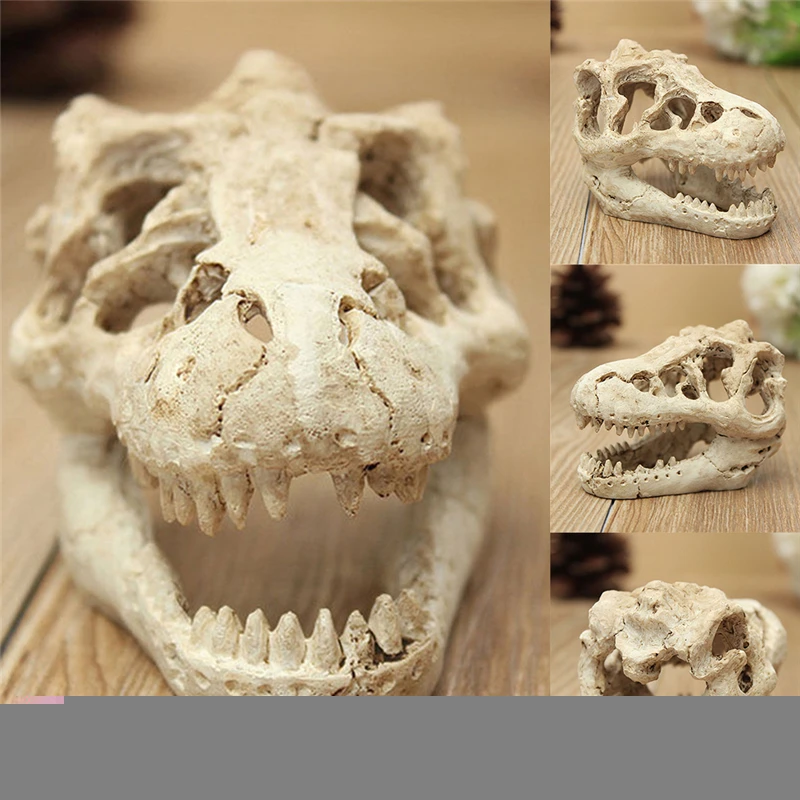 Resin Crocodile Skull Terrarium Reptile Fish Tank Ornament Aquarium Decoration