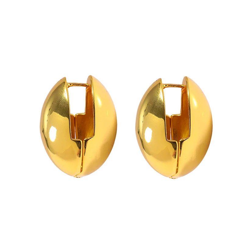 Foxanry Prevent Allergy Ellipse Geometric Hoop Earrings For Women Girls Minimalist Classic Trendy Elegant Birthday Jewelry Gifts