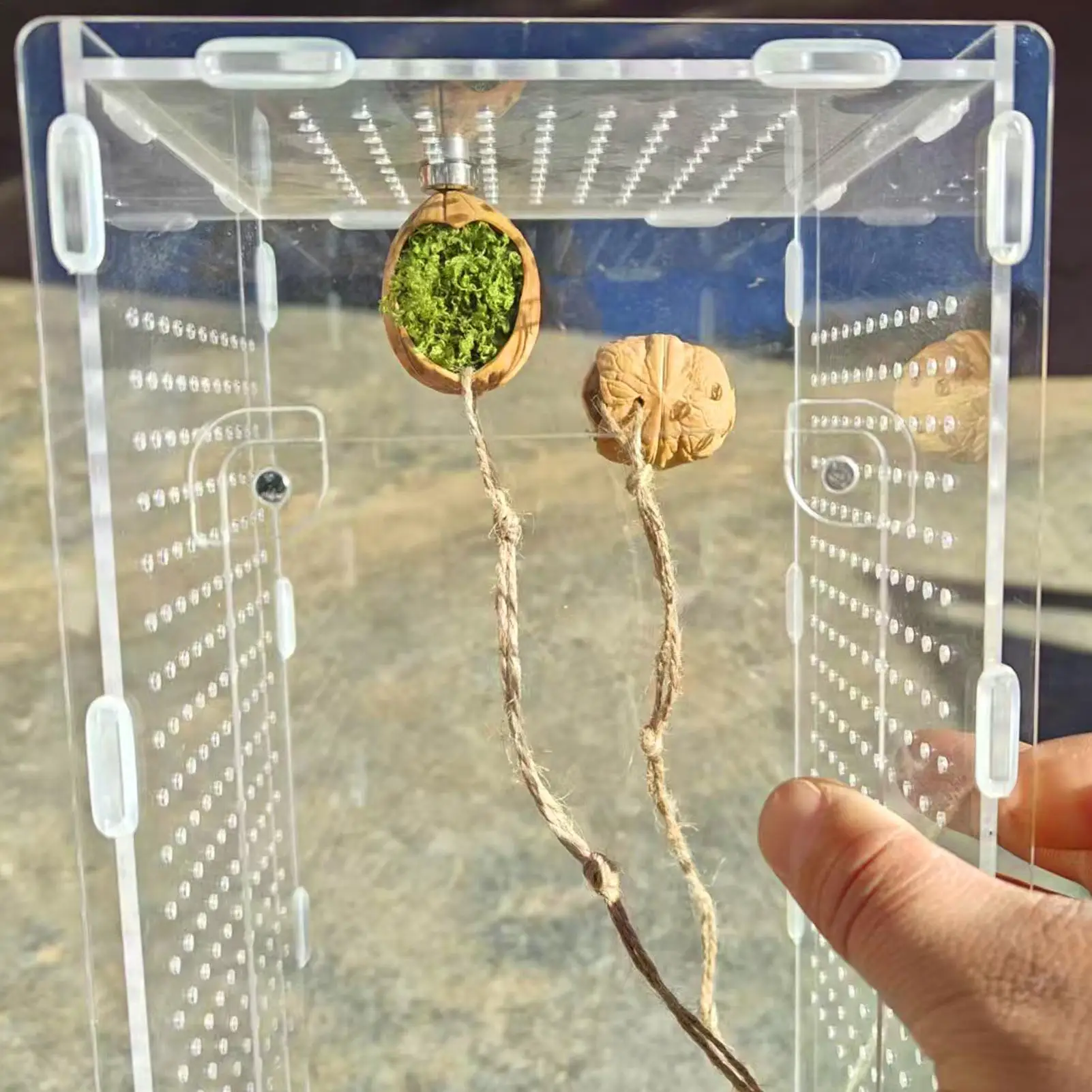 Spinne Gehäuse Zubehör Magnetische Walnuss Shelter Springen Spinne Terrarium Dekor Mit Seil Für Terrarium Zucht Geckos Baum