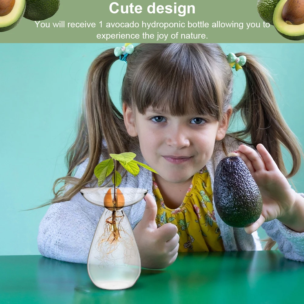 مزهرية بذور الأفوكادو شفافة مزهرية الأفوكادو المائية مزهرية زجاجية لشجرة الأفوكادو لمحبي البستنة
