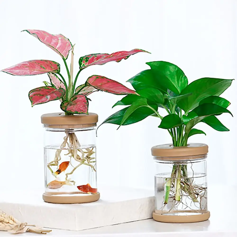 

Transparent Aquatic Plant Resin Material for Indoor/Outdoor Hydroponic Flowerpot Garden Supplies Home Decor Flower Planter