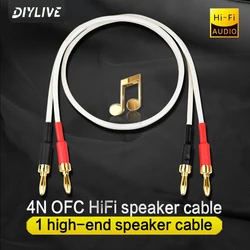 4N Oxy-free copper power amplifier speaker cable 5.1 Surround sound connection cable Universal banana head Y plug-in cable