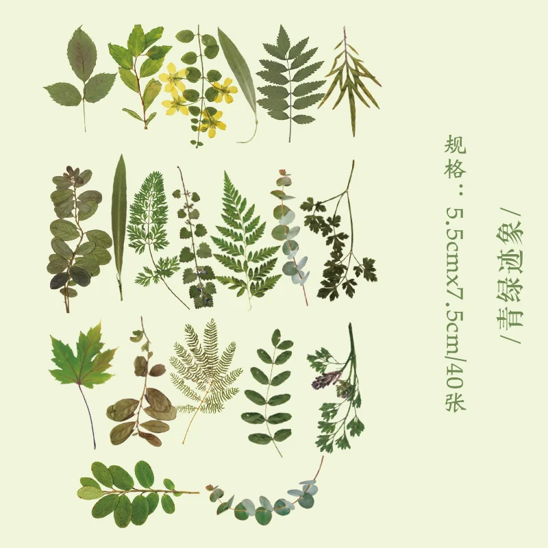 40 vellen per verpakking Retro Planten Bloemen PET-stickers Handboeken Clips Decoratieve albums DIY decoratieve stickers