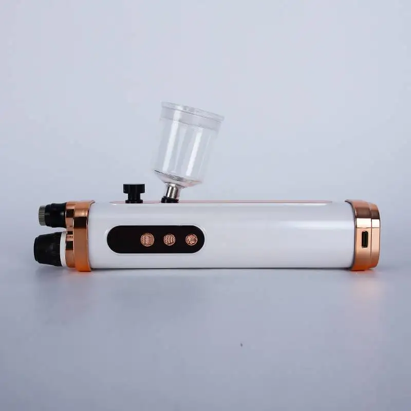 2024 new electric oxygen MTS meso gun nano mirconneedle for home use