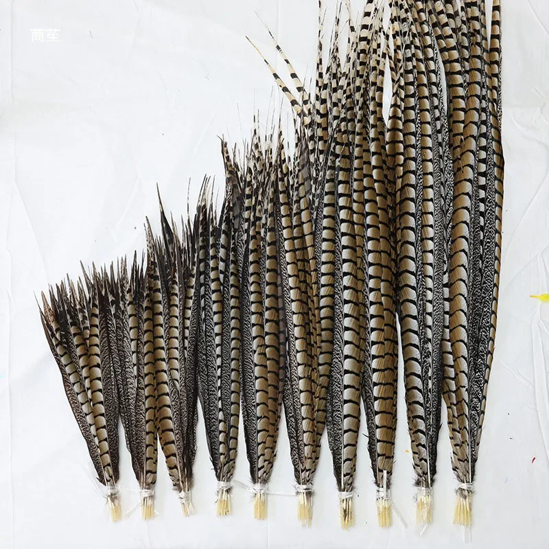 

10-110 cm 10/50Pcs/lot Natural Lady Amherst Pheasant Center Tail Feathers for Crafts Decorative Diy Stage Performance Carnaval
