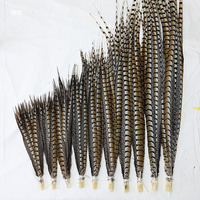 10-110 cm 10/50Pcs/lot Natural Lady Amherst Pheasant Center Tail Feathers for Crafts Decorative Diy Stage Performance Carnaval