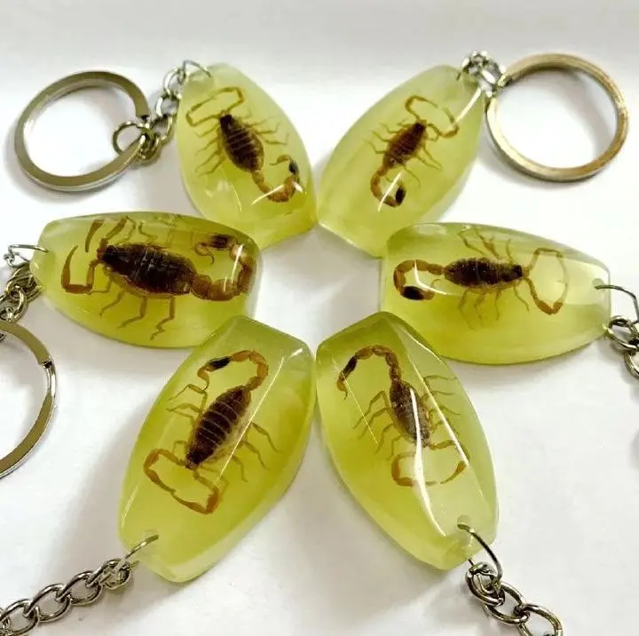 15 pcs keychain real gold color scorpion design cool jewelry newest key ring Specimen Crafts