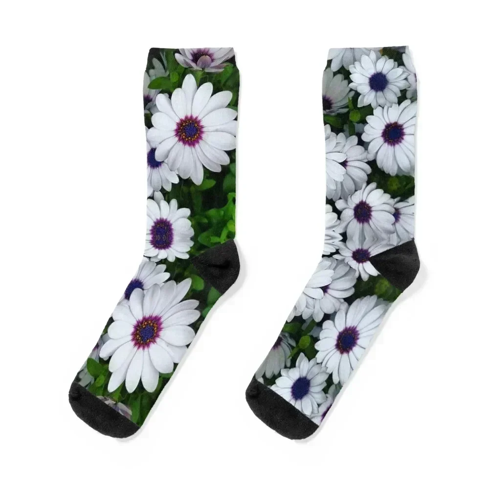 Flower Pattern No. 7 (African Daisy) Socks japanese fashion christmas gift winter gifts Antiskid soccer Men's Socks Women's