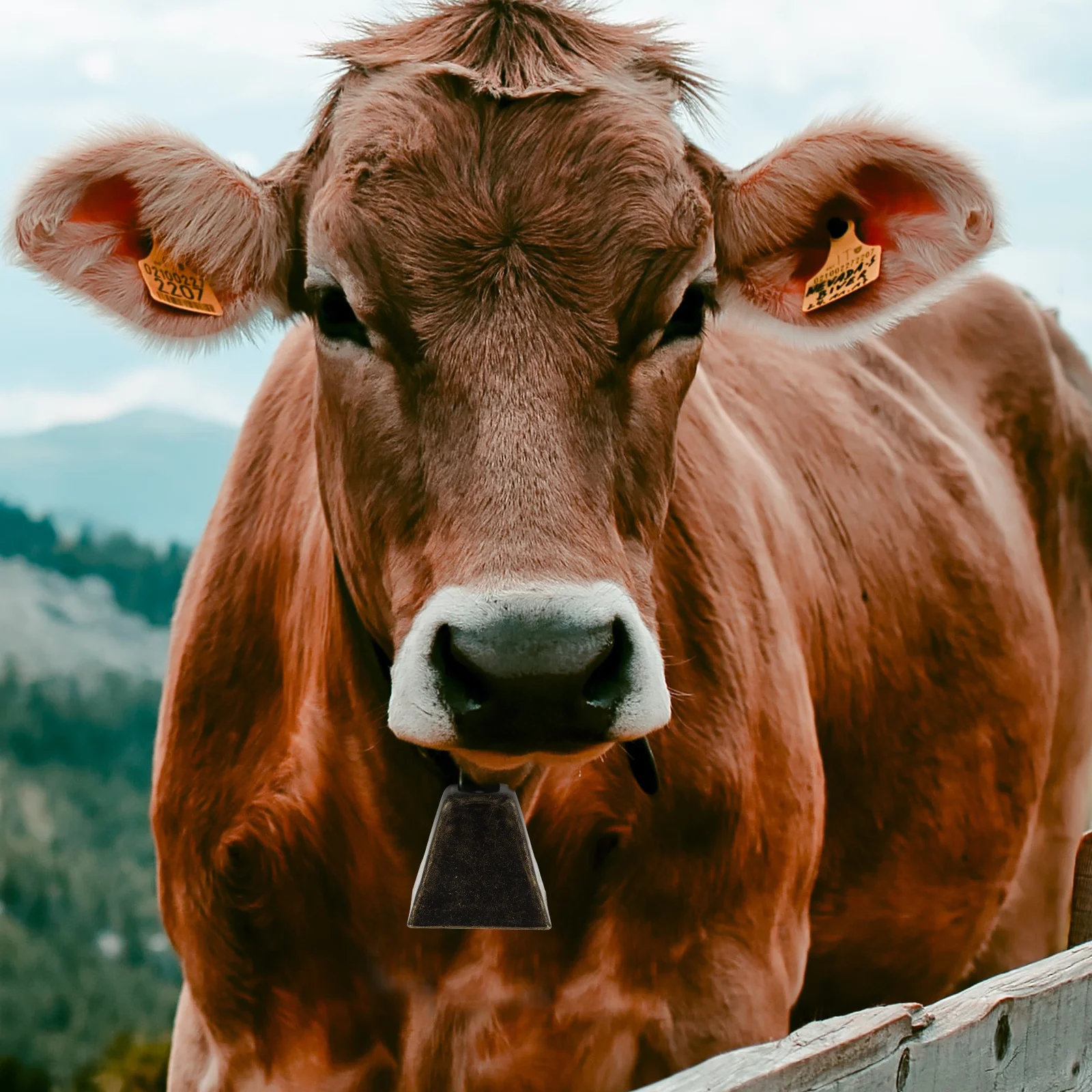 

Mini Retro Cow Bell Metal Square Dog Collar Bell Hanging Ornament Clear Crisp Sound Accessories for Pets