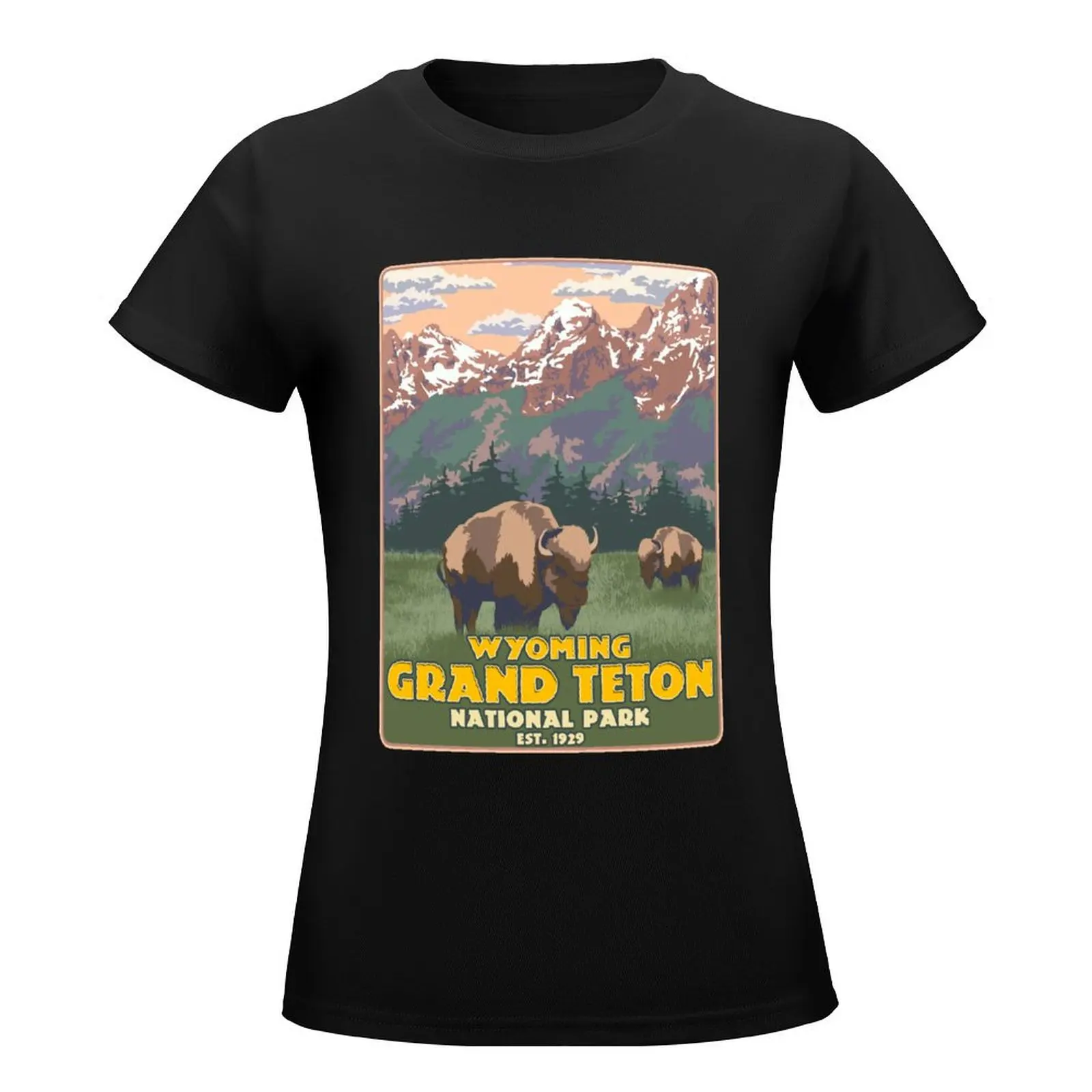 Wyoming Grand Teton National Park Mountain Hiking T-Shirt graphics Female clothing t shirts for Womens