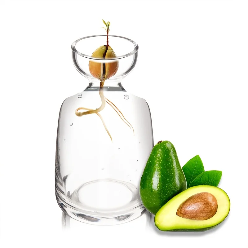 Two-piece Avocado Seed Starter Vase - Grow Your Own Avocado Tree Unique Glass Planting Pot for Gardening Lovers Start Your Green