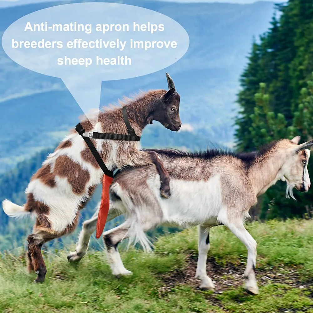 ABPP Adjustable Goat Apron for Anti-Breeding and Bucks Control with Bright Orange Visibility