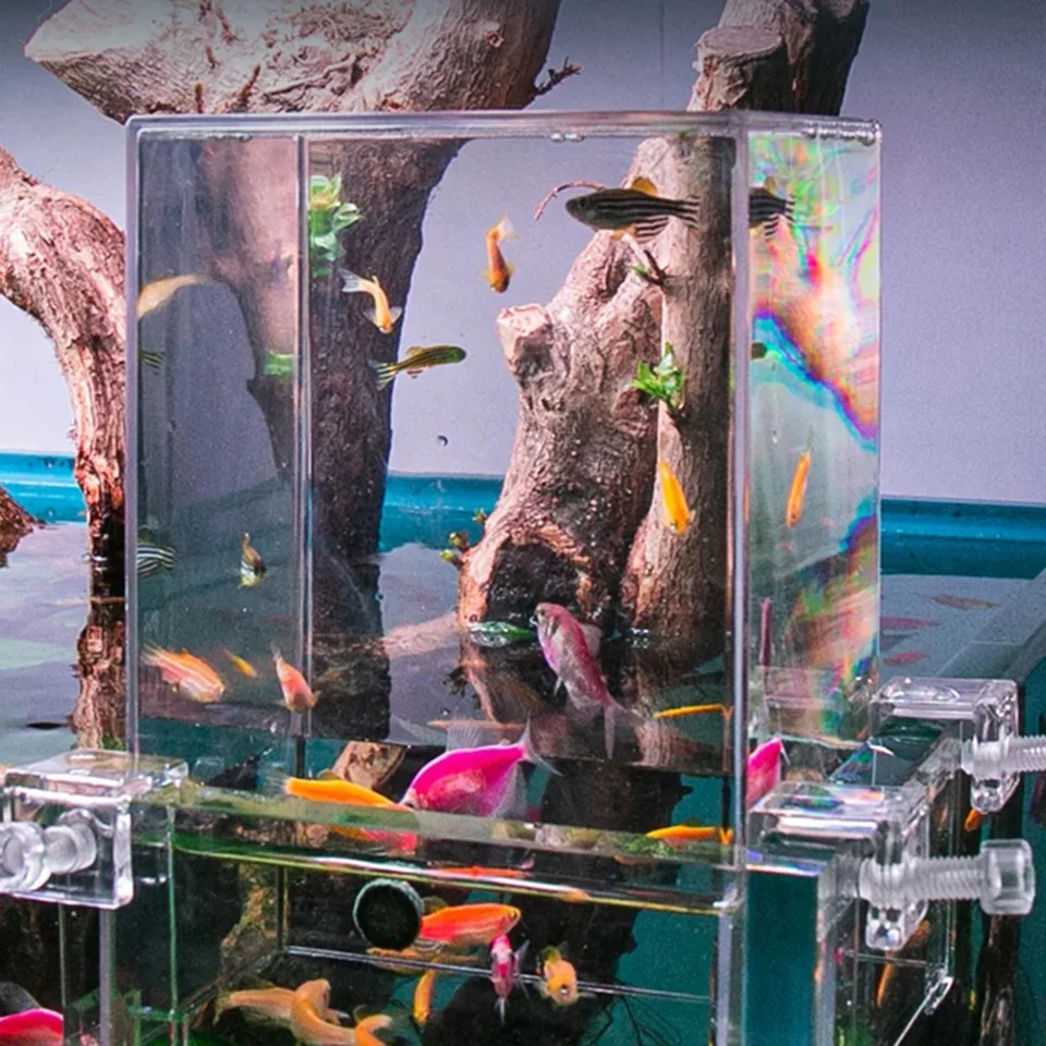 水族館負圧水槽クリア空中水族館エクステンダー生態造園装飾水槽ボウル