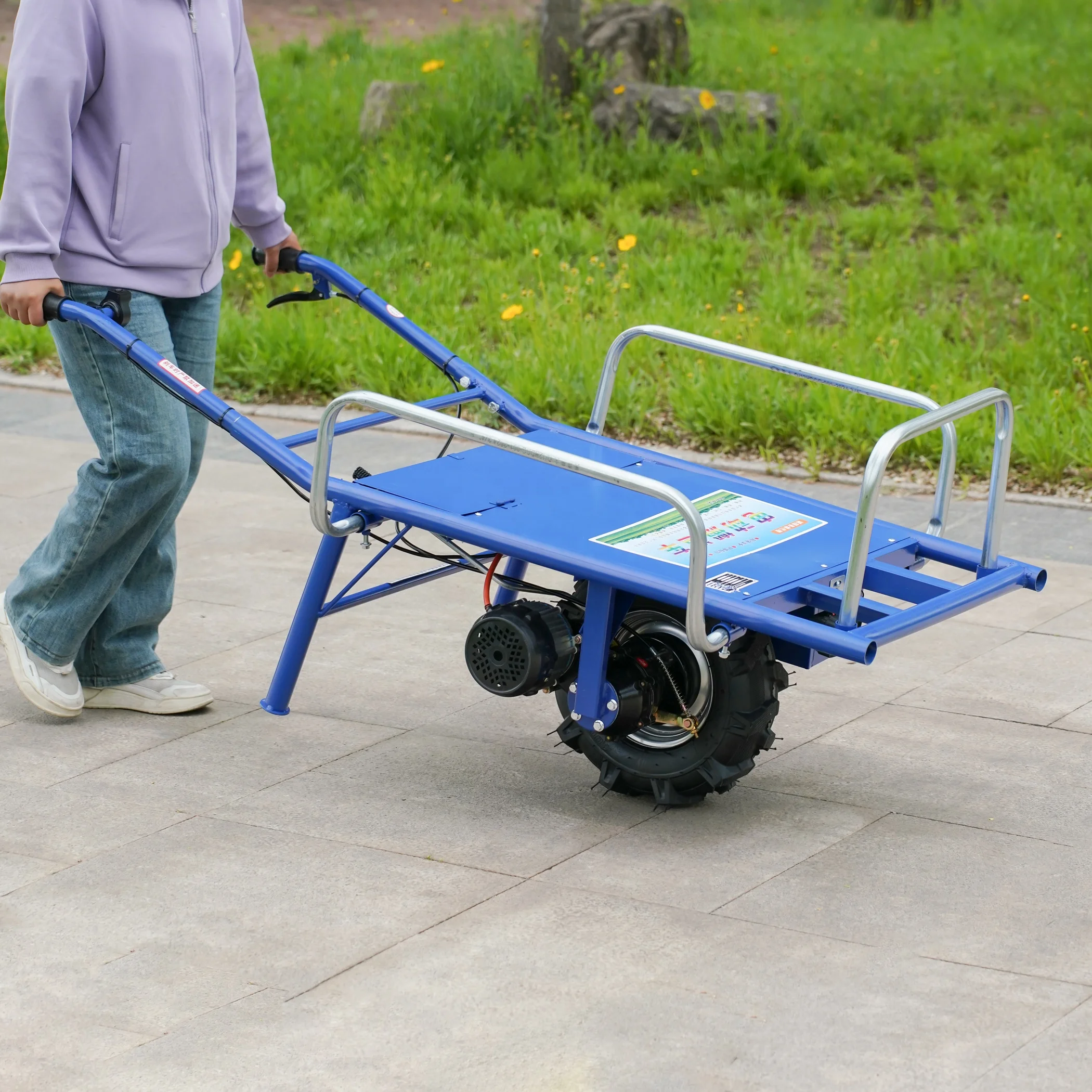 

Electric Agricultural Wagons Transportation Equipment Battery Transfer Trolley Agricultural Household Industrial Trolley