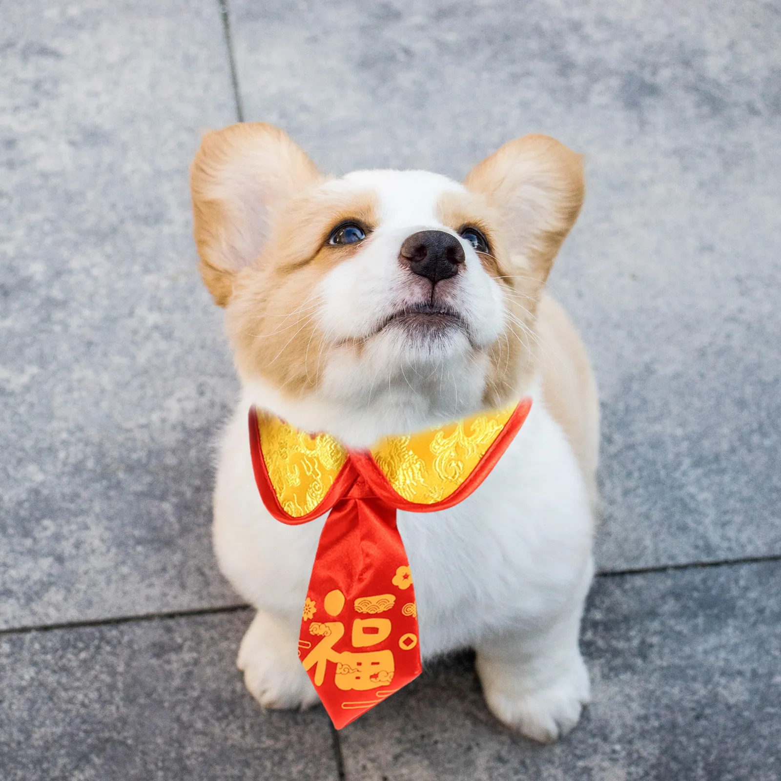 

New Year Bow Tie Collar Winter Warm Pet Necklace Cat Dog Decorative Accessory Chinese Style Holiday Party Pet Supplies