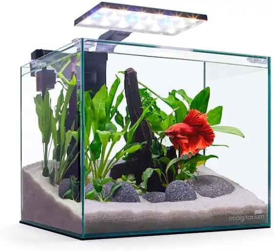 

5-галлонный безрамный стеклянный аквариум для бетт с LED-подсветкой и фильтром