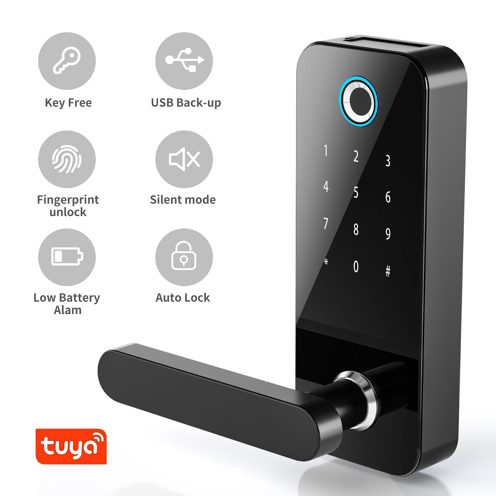 Support tuya smart and smart life with gateway support ALEXA and Google  assistant home office smart lock