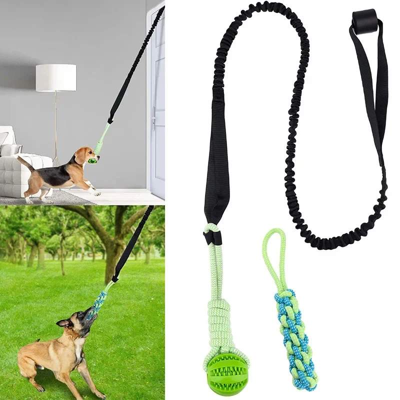 Dog Ball Toy with Rope Interactive Leaking Balls for Small Large Dogs Bite Resistant Chew Toys Puppy Training Pet Accessories