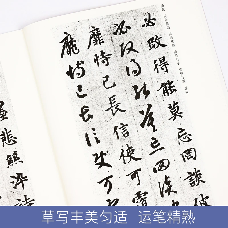 Brush Calligraphy Copybook Circulated Tablet Zhi Yongzhen Cao Qianzi Wen Stone Inscription Practice Writing Cursive Script Books