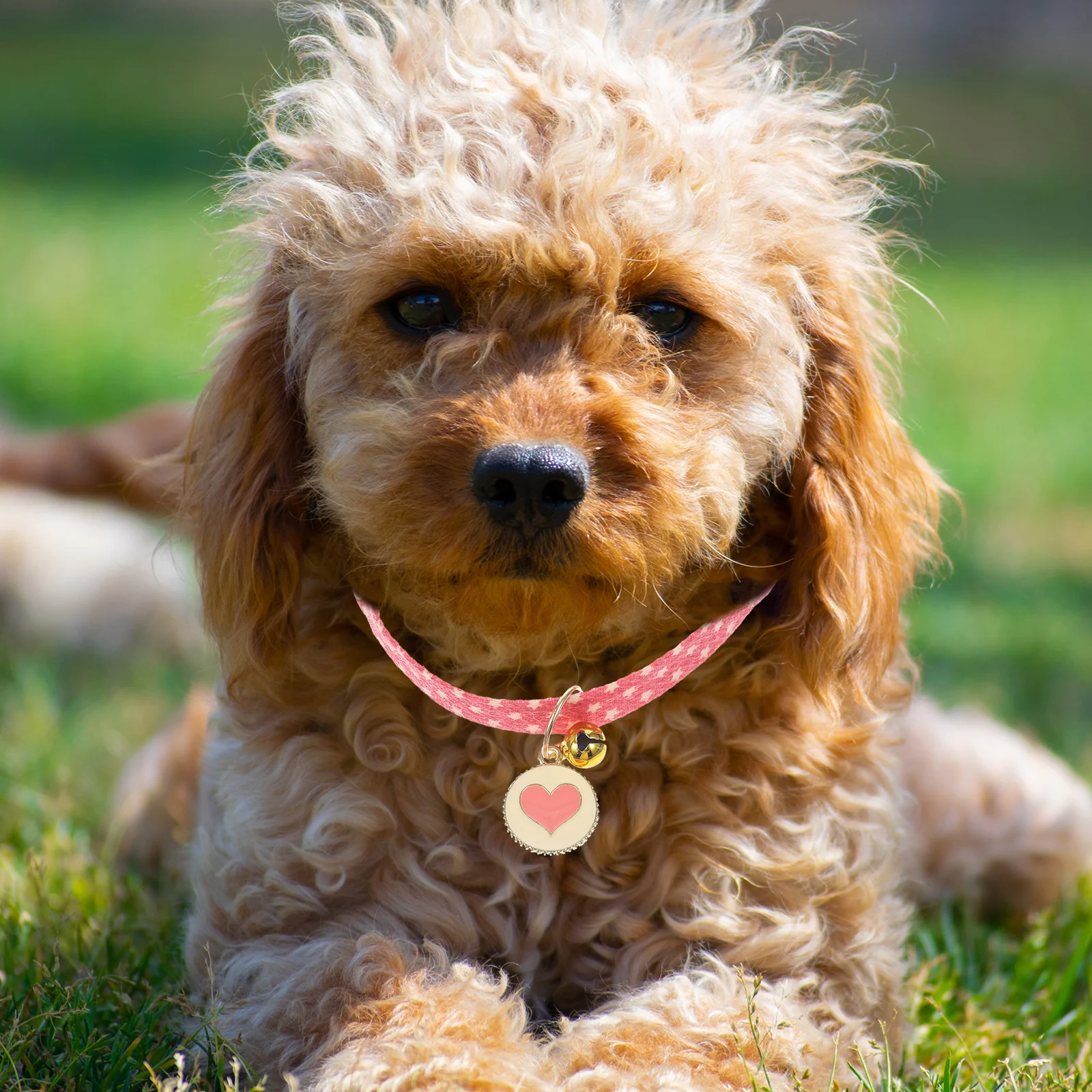 

Pet Collar Adjustable Cartoon Dog for Dogs Puppy Girl Polyester Cat Collars with Bell Cute