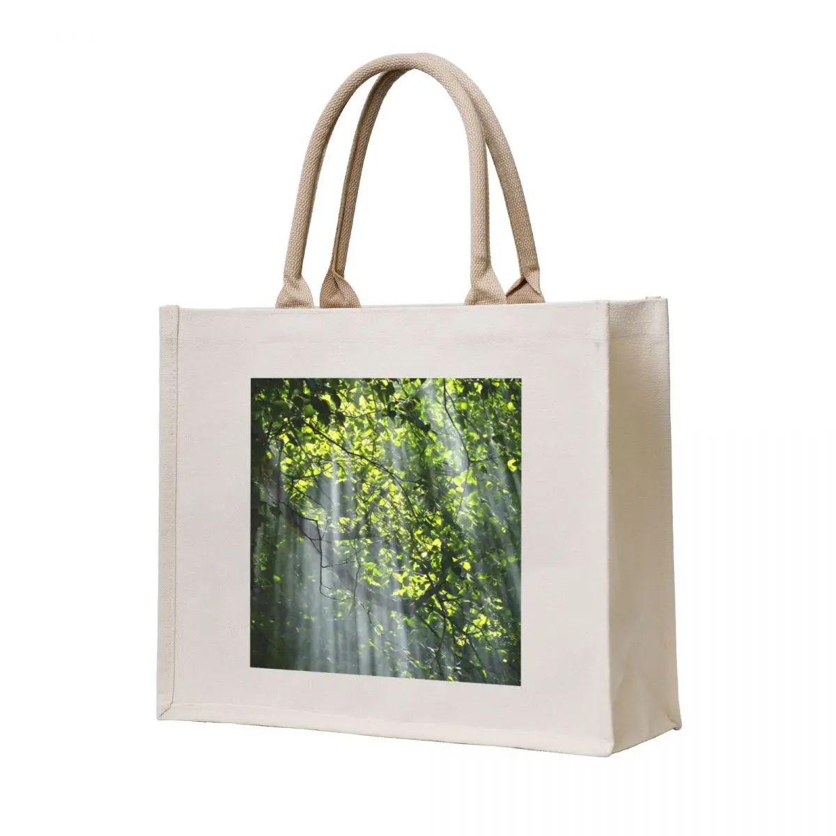 

Branches Illuminated by Light Beautiful Forest Tote Bag reusable shopping bag custom canvas bag Big women Canvas