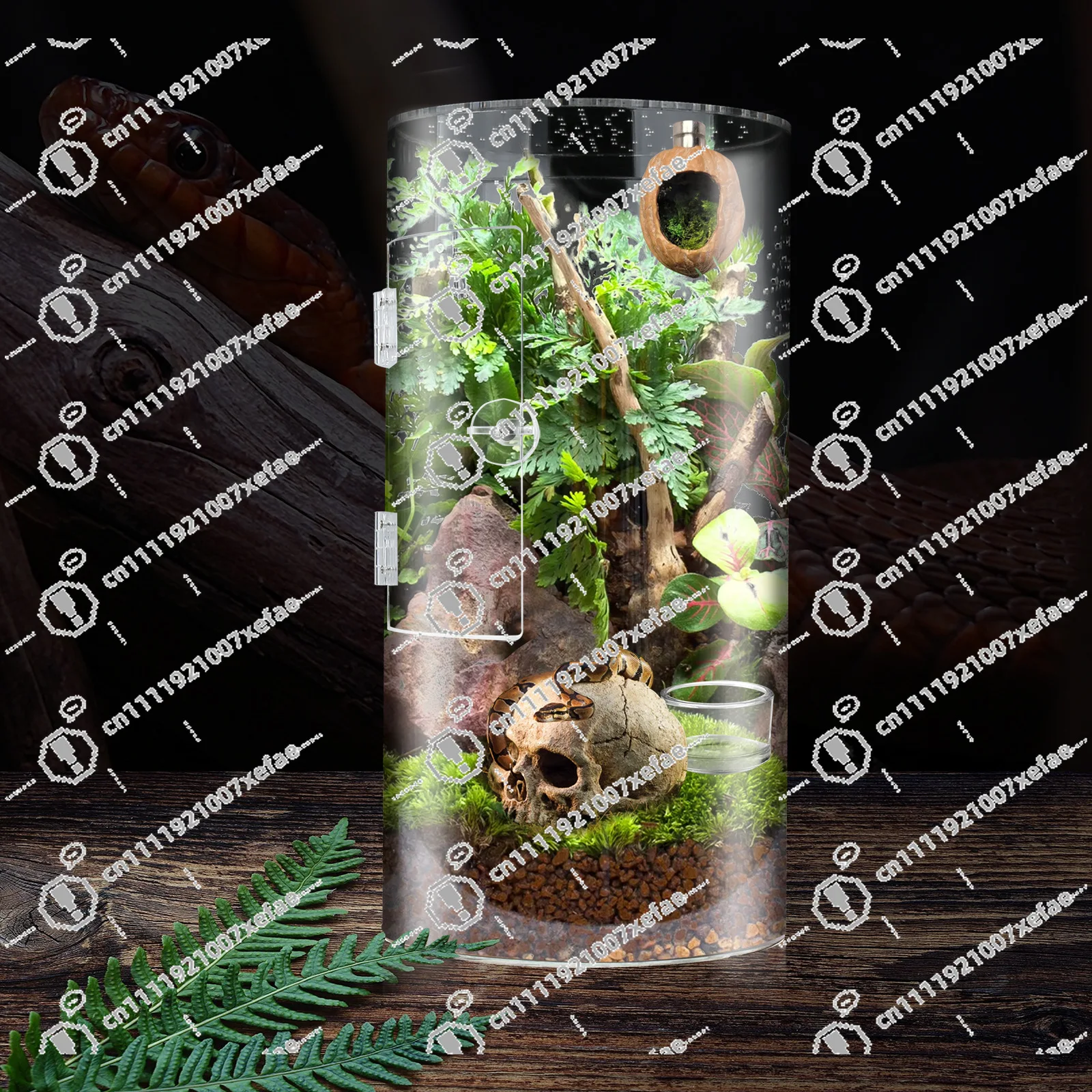 Acrylic Cylindrical Pet Enclosure with Front Door for Jumping Spiders And Reptiles- Transparent