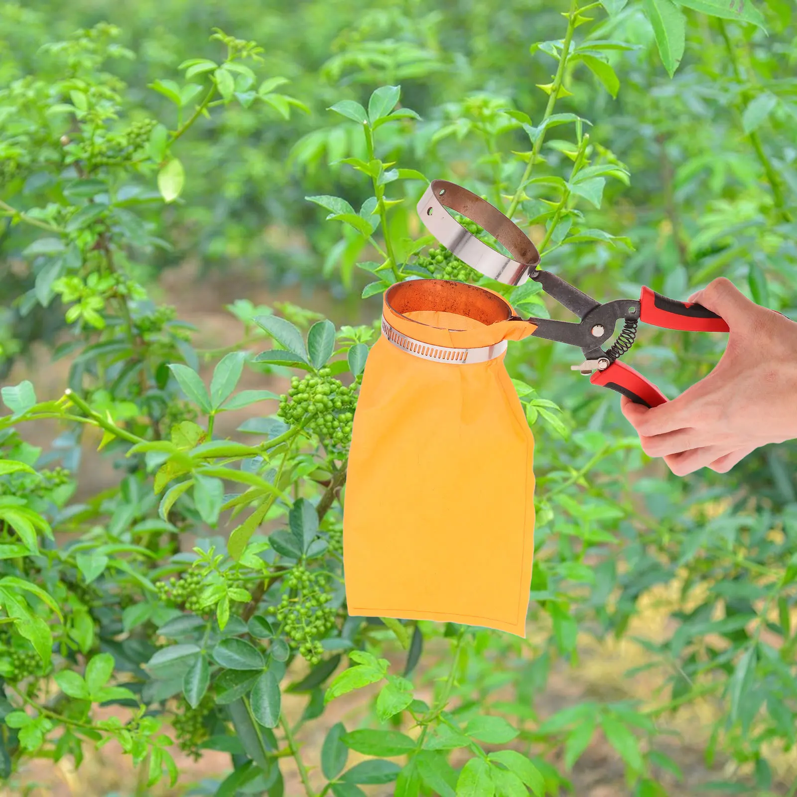 

1pc Fruit Picker Tool Replaceable Blades Steel Construction For Peppers Berries Apples Mango Pear Orange Avocado Handheld Garden