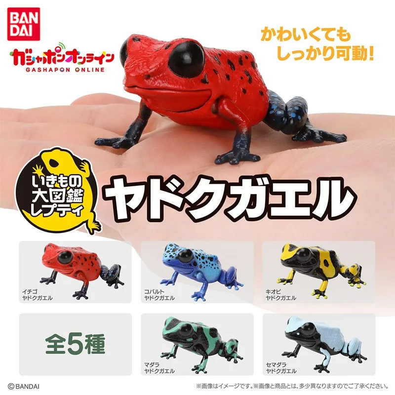 

Оригинальная фигурка Bandai Gashapon: Биологический атлас — Лягушка Oophaga Pumilio, Дендробатес Auratus. Игрушки для мальчиков и девочек, подарок для детей.