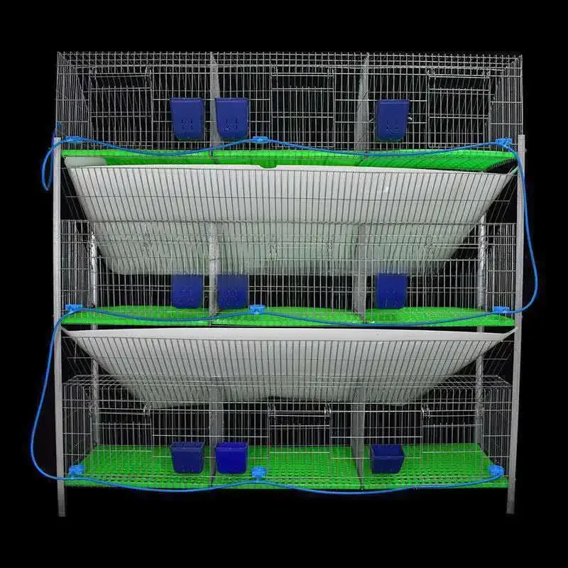 Cages à lapin entièrement automatiques avec plateaux en plastique, 2 étages