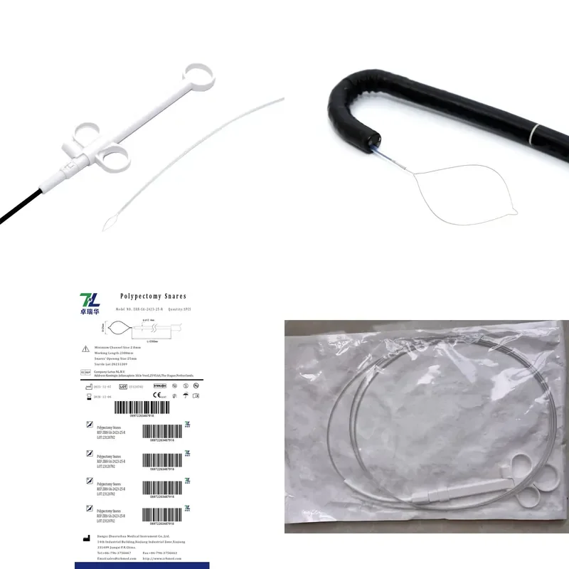 Medical Cold Polypectomy Snare Gastroenterology Endoscopy Tool With CE MDR