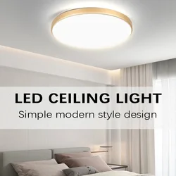 Led Ceiling Light Kitchen Panel Bathroom Lights 30W Wall light Modern led Light for room bedroom Indoor Ultra thin Ceiling lamp