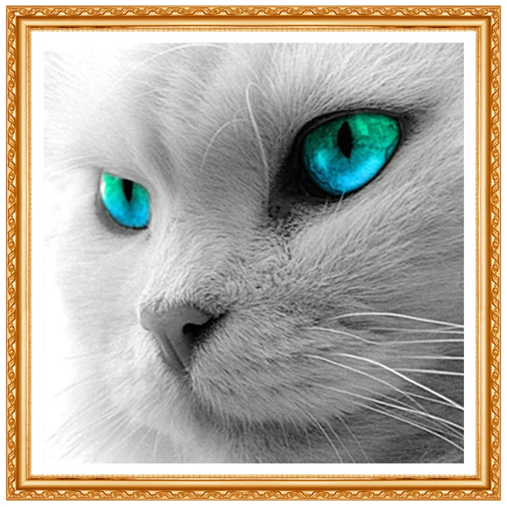 DIY 5D Diamonds Embroidery Animal Cat full Round Diamond Painting Cross Stitch Kits Diamond  Home decor 25*25cm W210