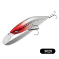 H029