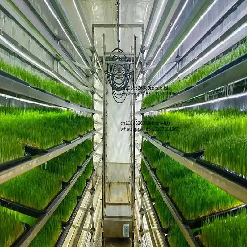 Multi Layer Planting Racks Auto Water Recycle LED Grow Light Constant Temperature Humidity Feeding Hydroponic Fodder