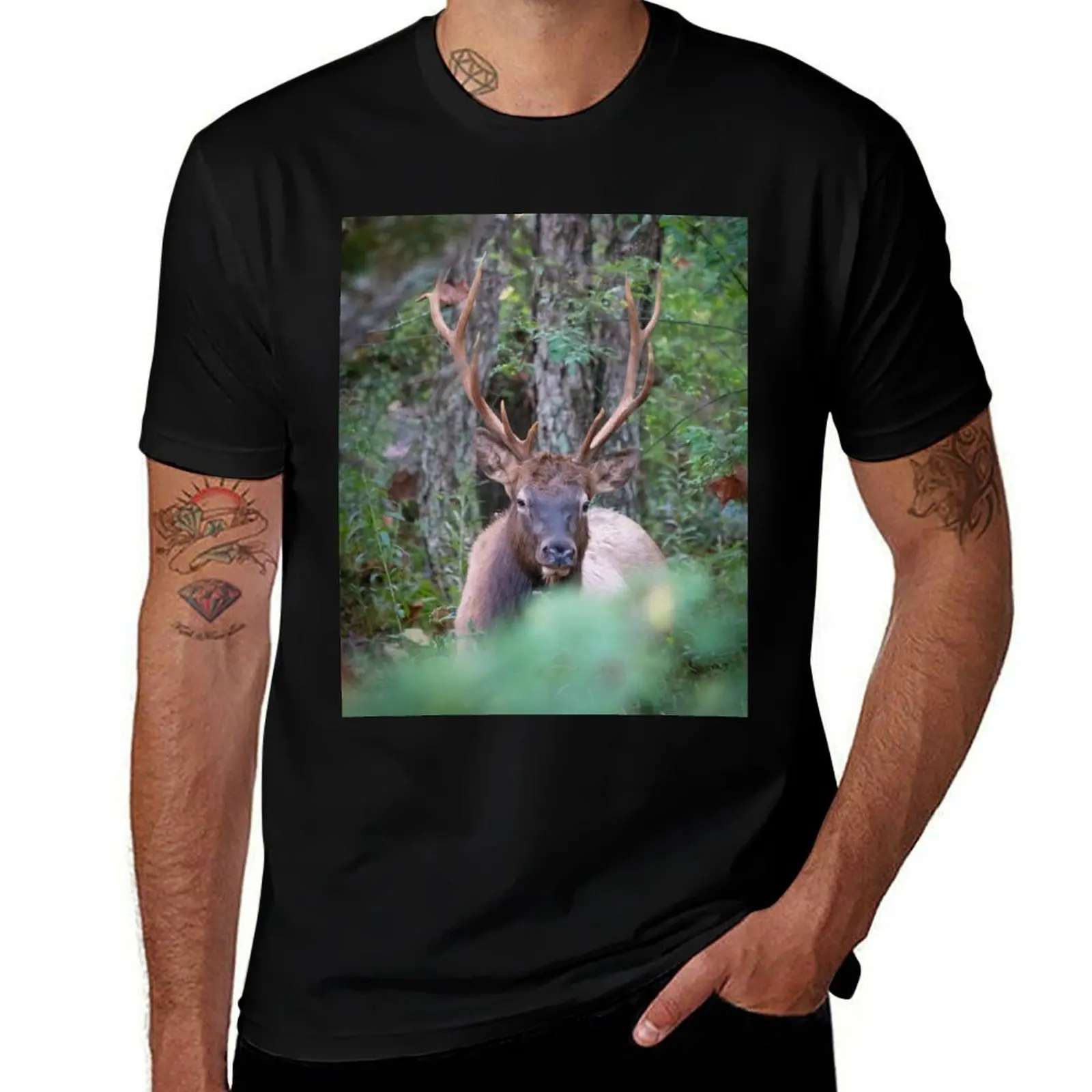 

Bull Elk Chillin T-Shirt graphic t shirts vintage graphic tee Louboutins Short sleeve tee plain t shirts men
